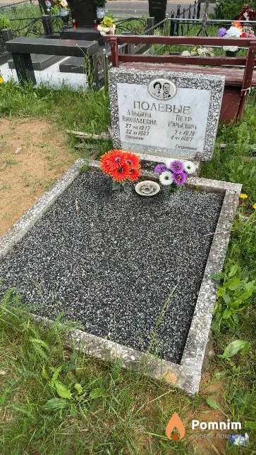 Полевая Альбина Николаевна
