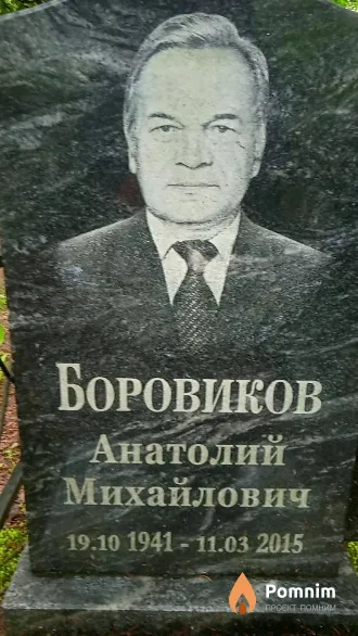 Боровиков Анатолий Михайлович