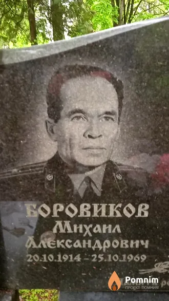 Боровиков Михаил Александрович