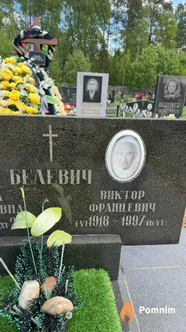 Белевич Виктор Францевич