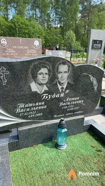 Будай Татьяна Васильевна