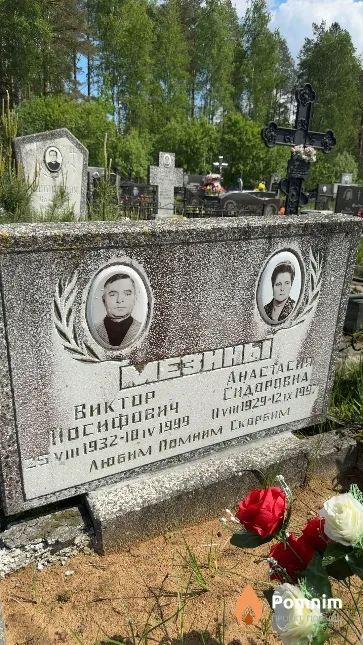 Мезин Виктор Иосифович