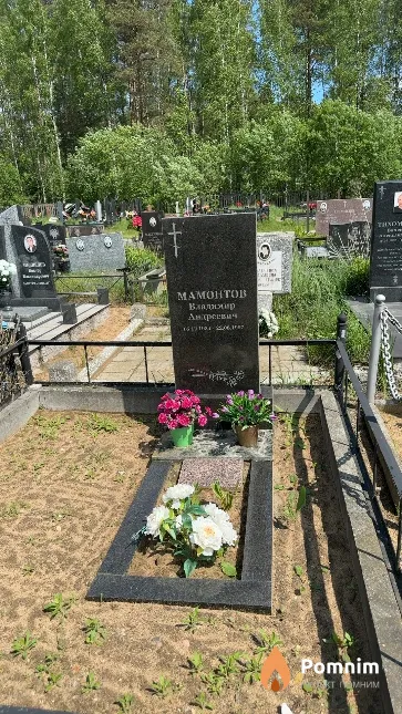 Мамонтов Владимир Андреевич