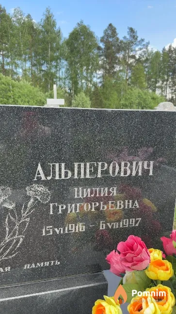 Альперович Цилия Григорьевна