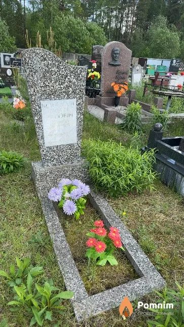 Петровский Виктор Иванович