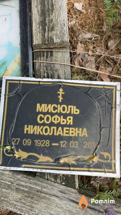 Мисюль Софья Николаевна