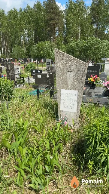 Литвинчук Антон Андреевич