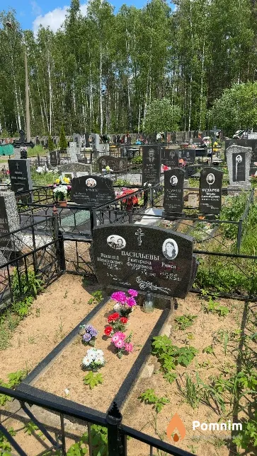 Васильев Василий Николаевич