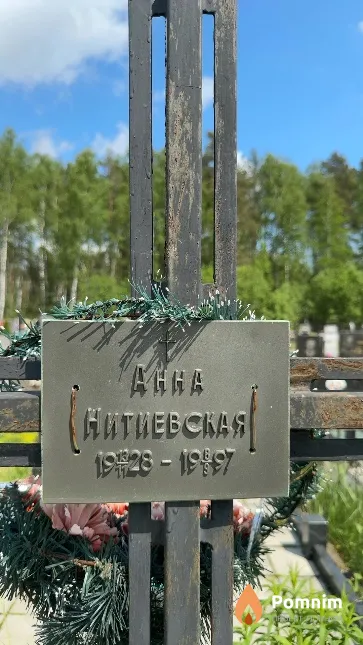 Нитиевская Анна