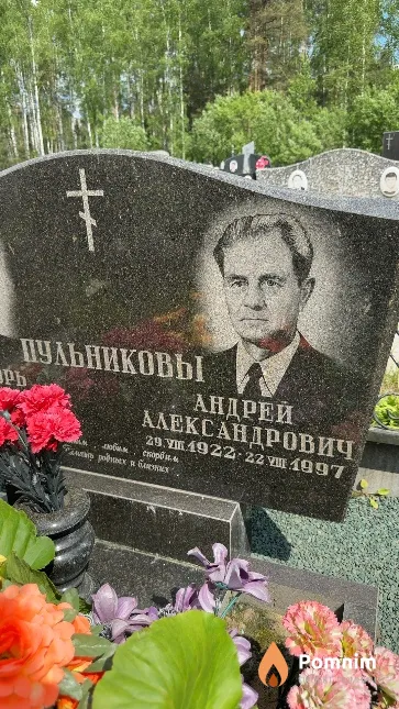 Пульников Андрей Александрович
