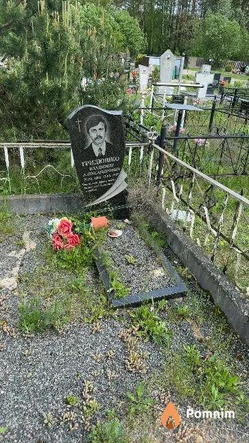 Гридюшко Владимир Александрович