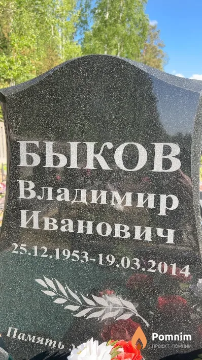 Быков Владимир Иванович