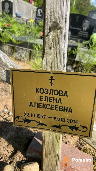 Козлова Елена Алексеевна