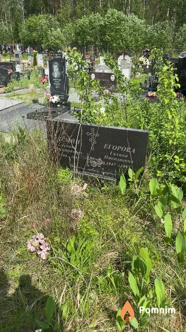Егорова Галина Николаевна