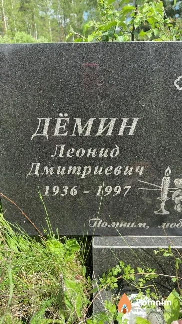 Дёмин Леонид Дмитриевич