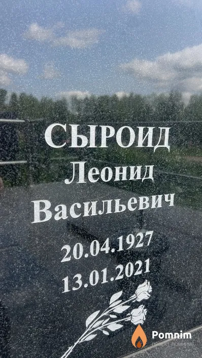 Сыроид Леонид Васильевич