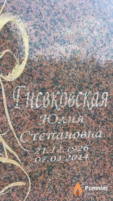 Гневковская Юлия Степановна