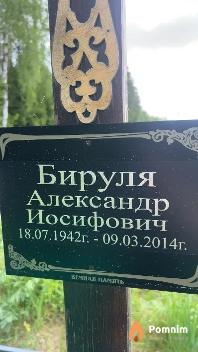 Бируля Александр Иосифович