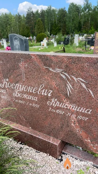 Костюкевич Кристина