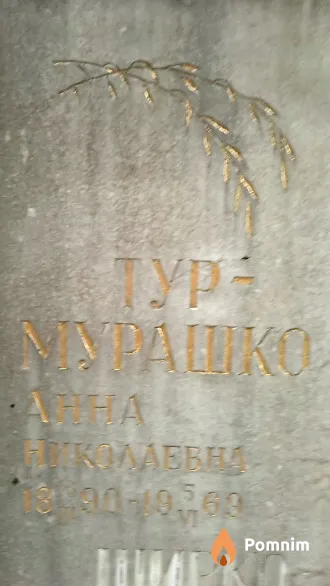 Typ-Мурашко Анна Николаевна