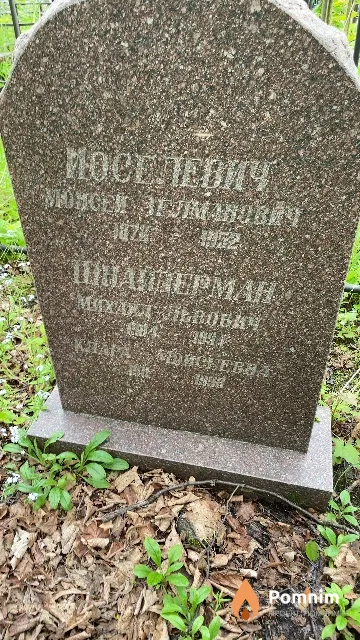 Иоселевич Моисей Зелманович