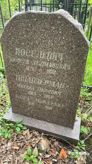 Шнайдерман Михаил Львович