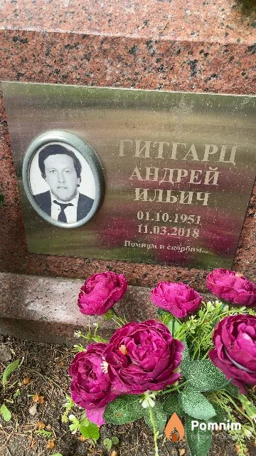 Гитгарц Андрей Ильич