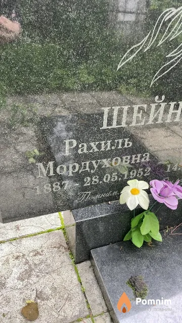 Шейнкман Рахиль Мордуховна