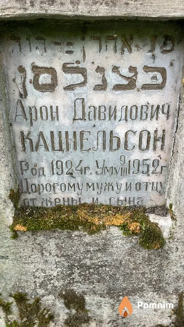 Кацнельсон Арон Давидович