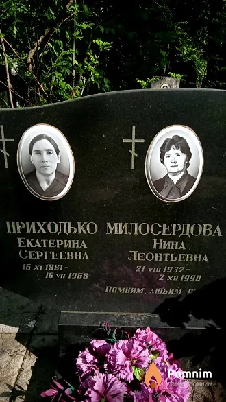 Приходько Екатерина Сергеевна