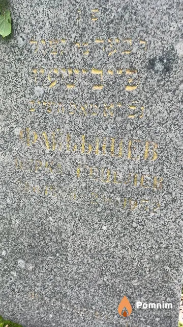 Файбышев Берка Гецелев
