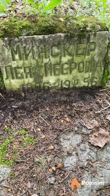 Минскер Лея Мееровна