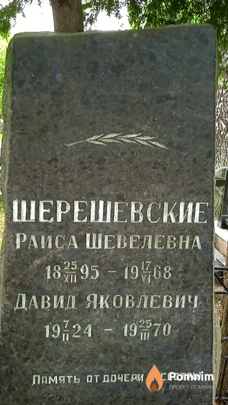 Шерешевский Давид Яковлевич