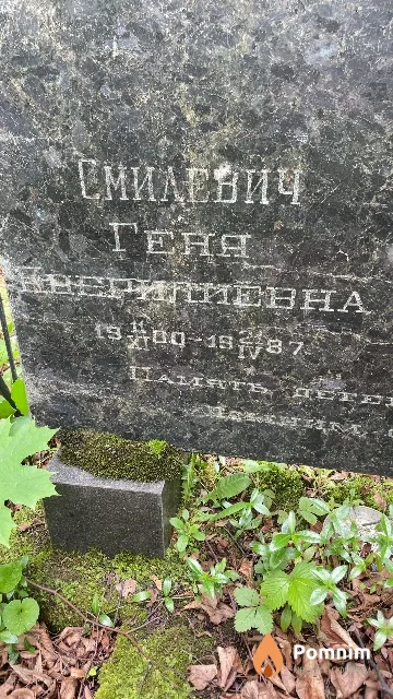 Емилевич Геня Кнерилиевна