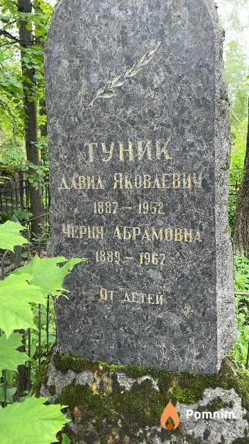 Туник Давид Яковлевич