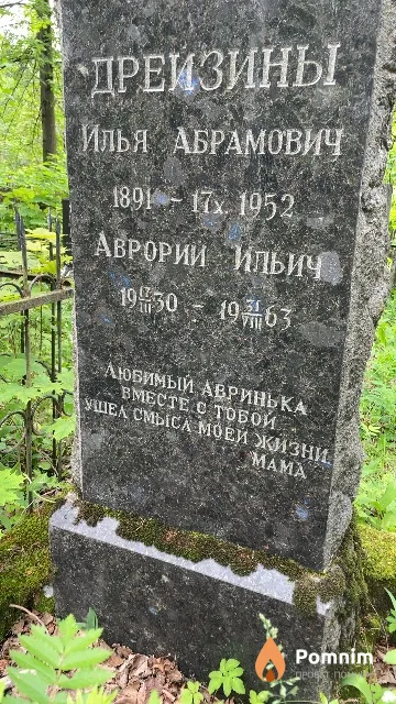 Дрейзин Аврорий Ильич