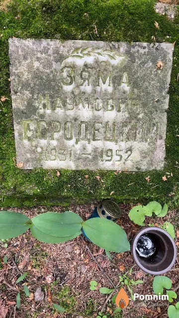 Городецкий Зяма Наумович