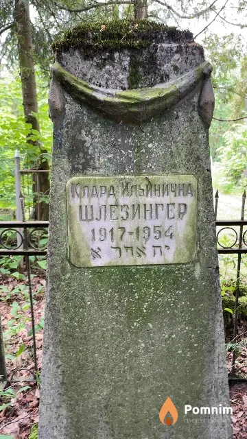 Шлезингер Клара Ильинична