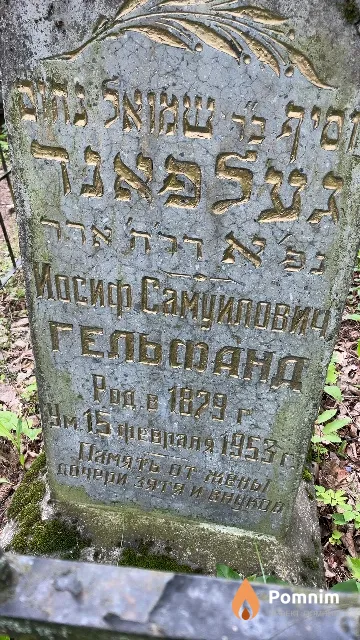 Гельфанд Иосиф Самуилович