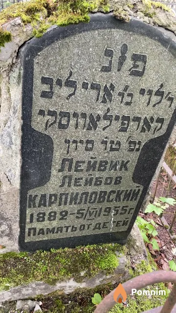 Карпиловский Лейвик Лейбов