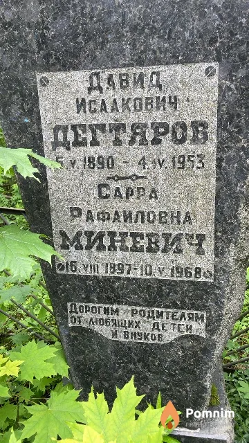 Миневич Сарра Рафаиловна
