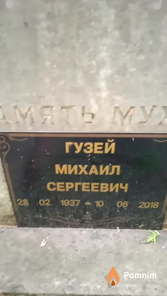 Гузей Михаил Сергеевич