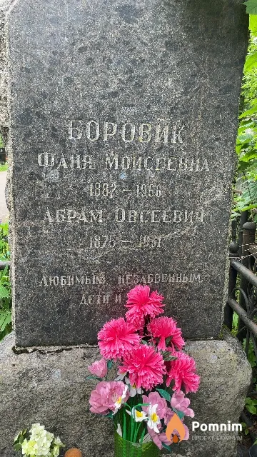 Боровик Абрам Овсеевич