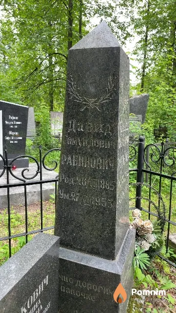 Рабинович Давид Самуилович