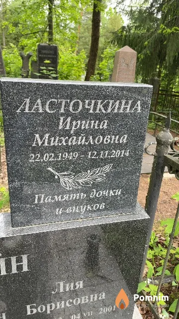 Ласточкина Ирина Михайловна