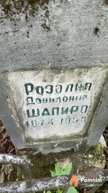 Шапиро Розалия Давидовна