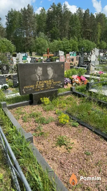 Громыко Александр Петрович