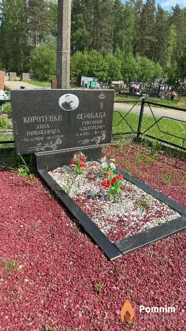 Коротенко Анна Николаевна
