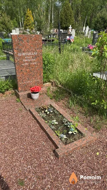 Шапчанская Ольга Эмильевна