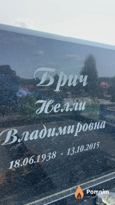 Брич Нелли Владимировна